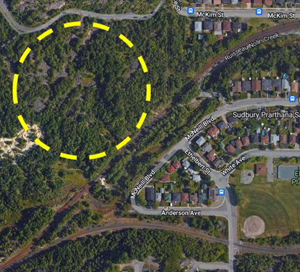 area where body was located area where body was located